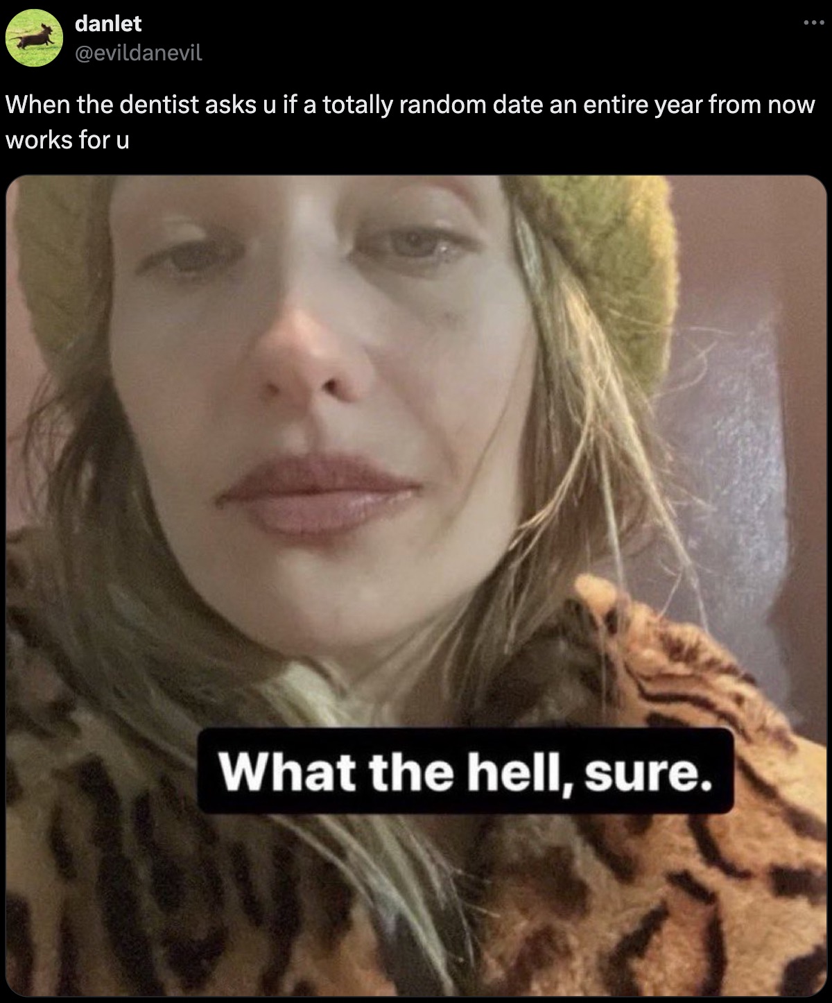 lana del rey meme - danlet When the dentist asks u if a totally random date an entire year from now works for u What the hell, sure.